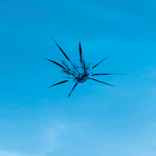 Windshield-2