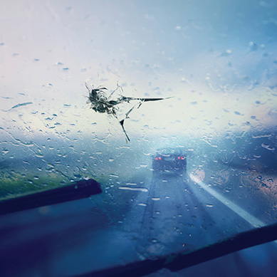 Windshield Protection